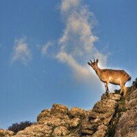 Sierra De Baza
